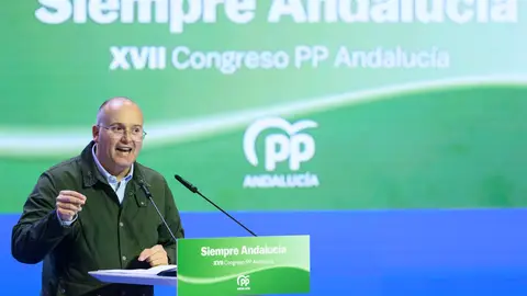 El diputado popular Miguel Tellado interviene durante la segunda jornada del congreso autonómico del PP que se celebra este sábado en Sevilla. El diputado popular Miguel Tellado interviene durante la segunda jornada del congreso autonómico del PP que se celebra este sábado en Sevilla.