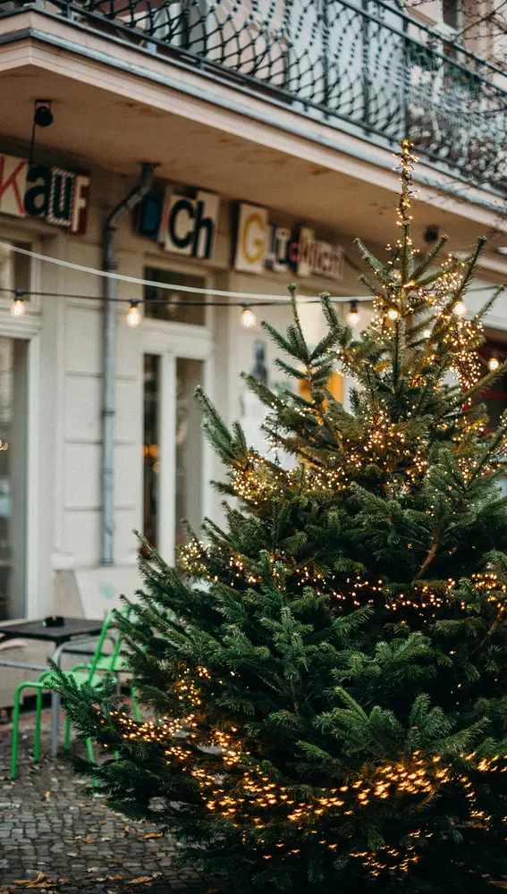 Árbol de Navidad Árbol de Navidad