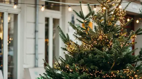 Árbol de Navidad Árbol de Navidad