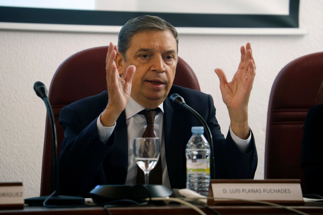 Planas llama a "estar muy vigilantes para que nadie aproveche" la gripe aviar para "especular" con el precio de los huevos Planas llama a "estar muy vigilantes para que nadie aproveche" la gripe aviar para "especular" con el precio de los huevos