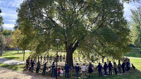 Almez del Parque Bruil abrazado por sus vecinos Almez del Parque Bruil abrazado por sus vecinos