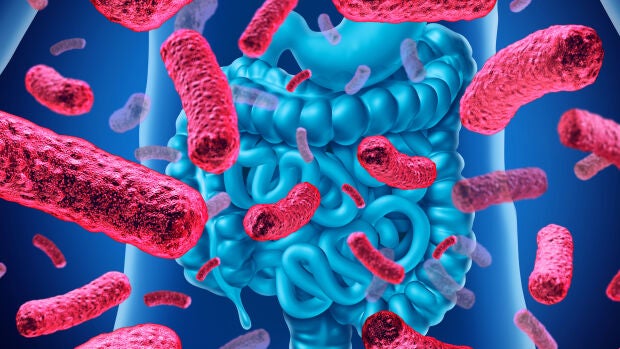 microbiota