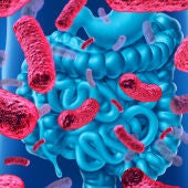microbiota