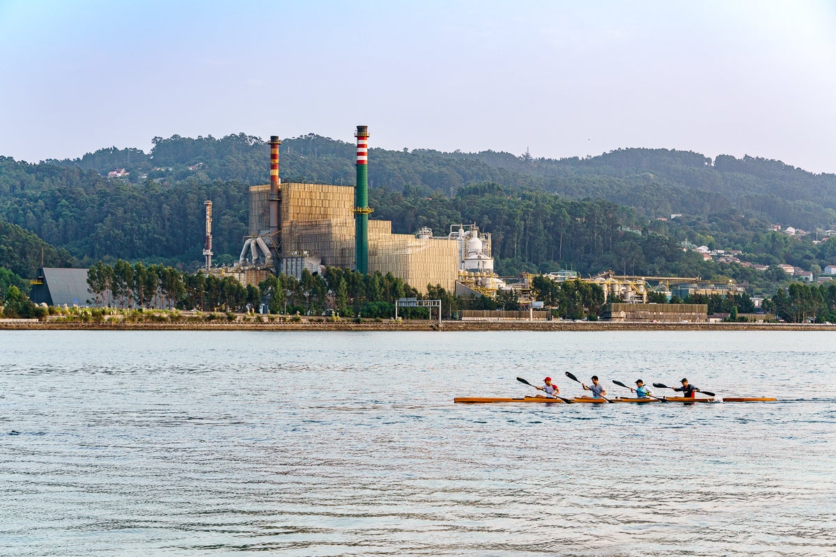 Ence revalida la Medalla Platino de EcoVadis por sus buenas prácticas medio ambientales, laborales y sostenibilidad Ence revalida la Medalla Platino de EcoVadis por sus buenas prácticas medio ambientales, laborales y sostenibilidad
