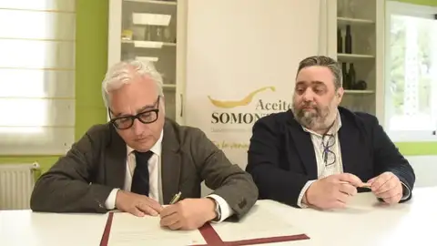 La UE concede la DOP al Aceite del Somontano La UE concede la DOP al Aceite del Somontano
