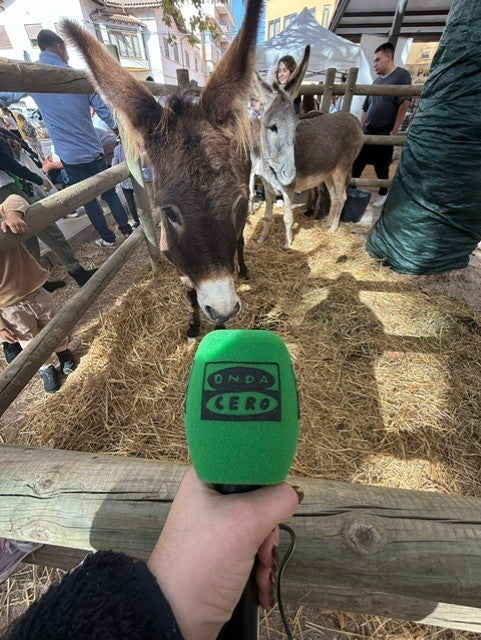 Inca celebra un multitudinario Dijous Bo, después del récord de afluencia al Dimecres Bo Inca celebra un multitudinario Dijous Bo, después del récord de afluencia al Dimecres Bo