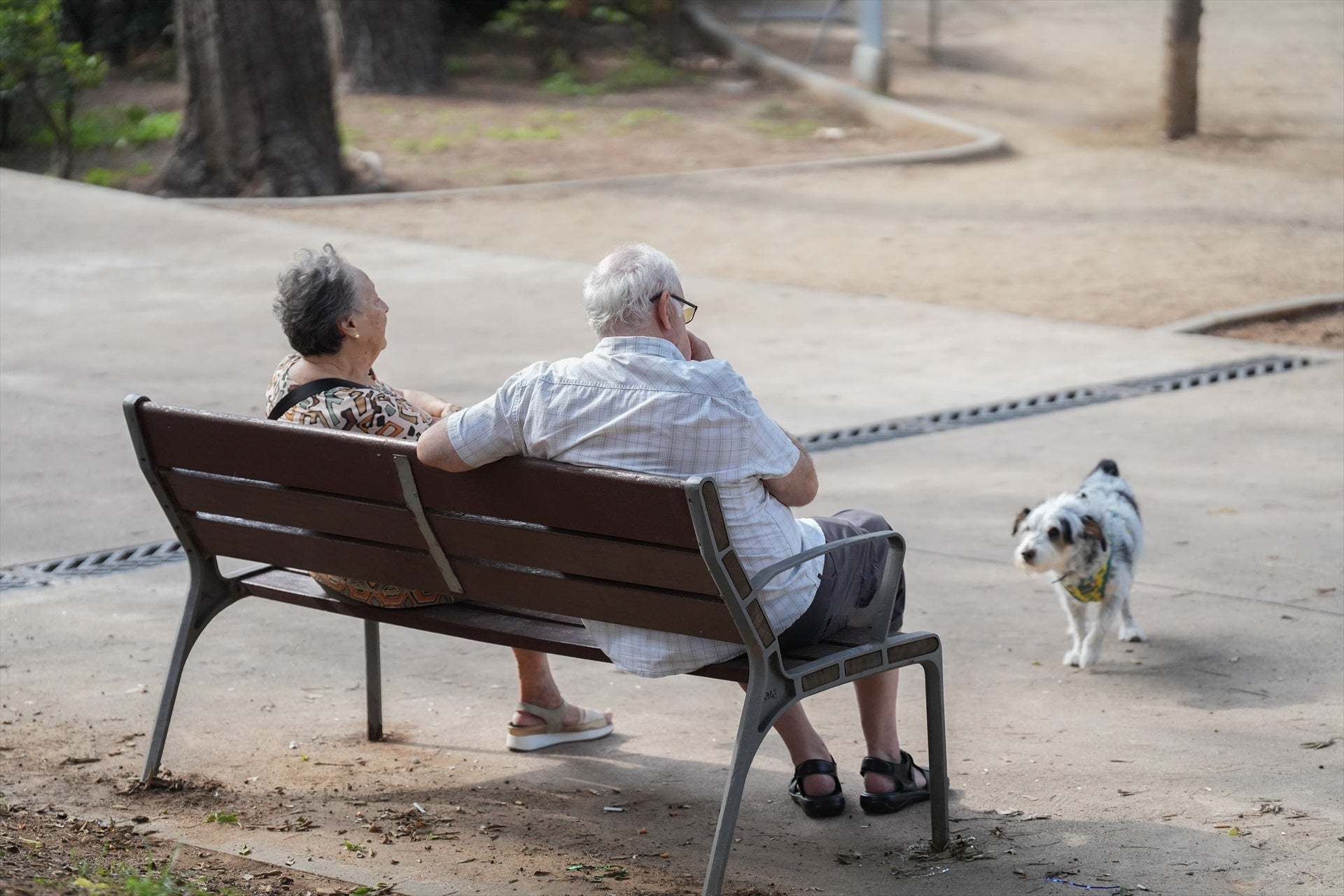 Dos jubilados sentados en un parque Dos jubilados sentados en un parque