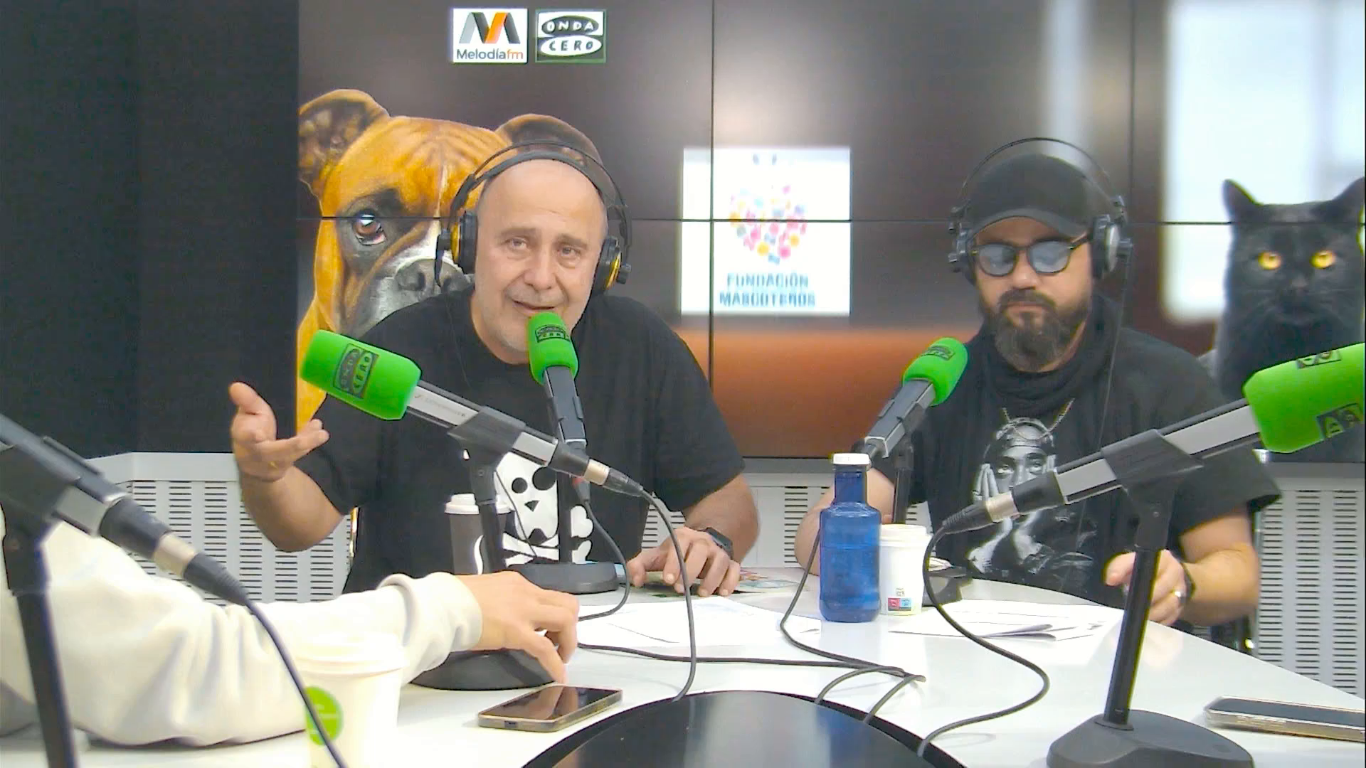 Carlos Rodríguez: "Que le aten las manos a los veterinarios es un grave problema para la salud global" Carlos Rodríguez: "Que le aten las manos a los veterinarios es un grave problema para la salud global"