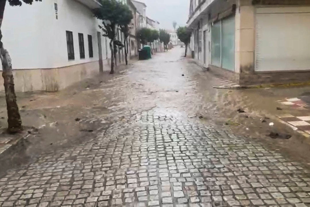 Las impactantes imágenes del paso de la borrasca Claudia por Huelva: anegaciones, árboles caídos y más de 300 incidencias Las impactantes imágenes del paso de la borrasca Claudia por Huelva: anegaciones, árboles caídos y más de 300 incidencias