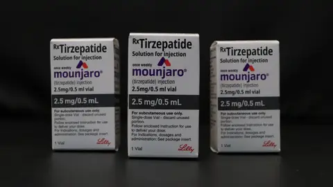 Los nuevos fármacos de la pérdida de peso: actúan en la región de placer del cerebro para reducir el apetito Los nuevos fármacos de la pérdida de peso: actúan en la región de placer del cerebro para reducir el apetito