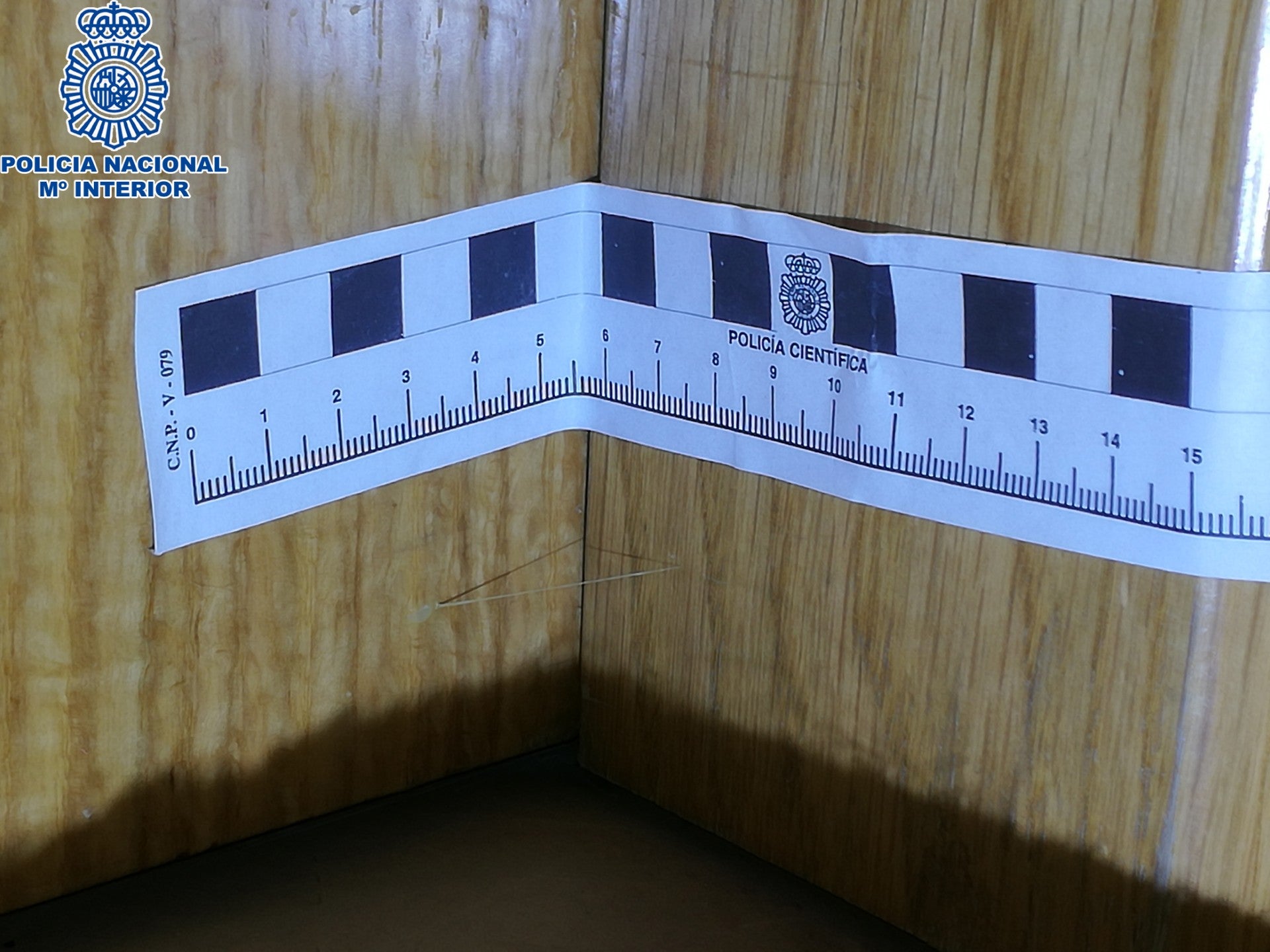 Detectada la presencia en Huesca de una organización dedicada al robo en domicilios Detectada la presencia en Huesca de una organización dedicada al robo en domicilios