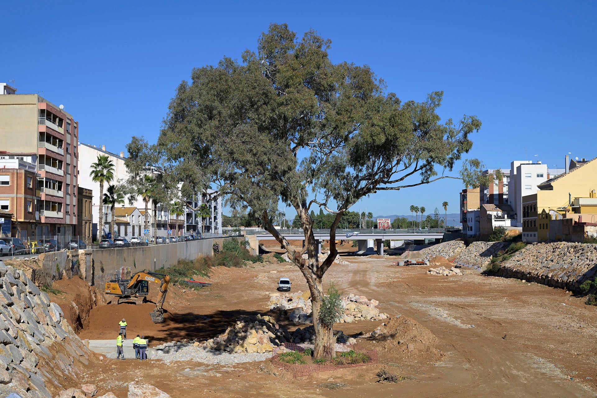 El eucalipto de Paiporta, que sobrevivió a la DANA, opta a ser proclamado "Árbol del Año 2026" El eucalipto de Paiporta, que sobrevivió a la DANA, opta a ser proclamado "Árbol del Año 2026"