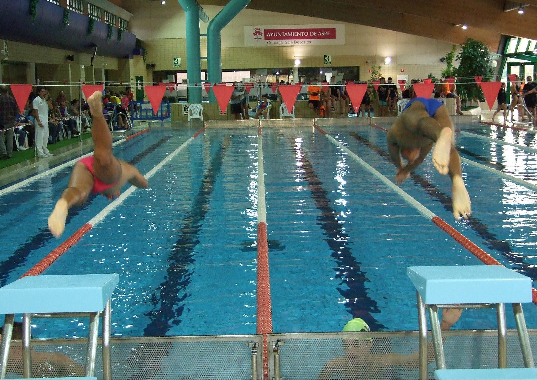 Aspe, epicentro de la natación autonómica con cerca de 250 nadadores Aspe, epicentro de la natación autonómica con cerca de 250 nadadores