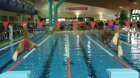 Aspe, epicentro de la natación autonómica con cerca de 250 nadadores. Aspe, epicentro de la natación autonómica con cerca de 250 nadadores.