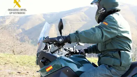 Vigilancia de un agente del SEPRONA de Cantabria Vigilancia de un agente del SEPRONA de Cantabria