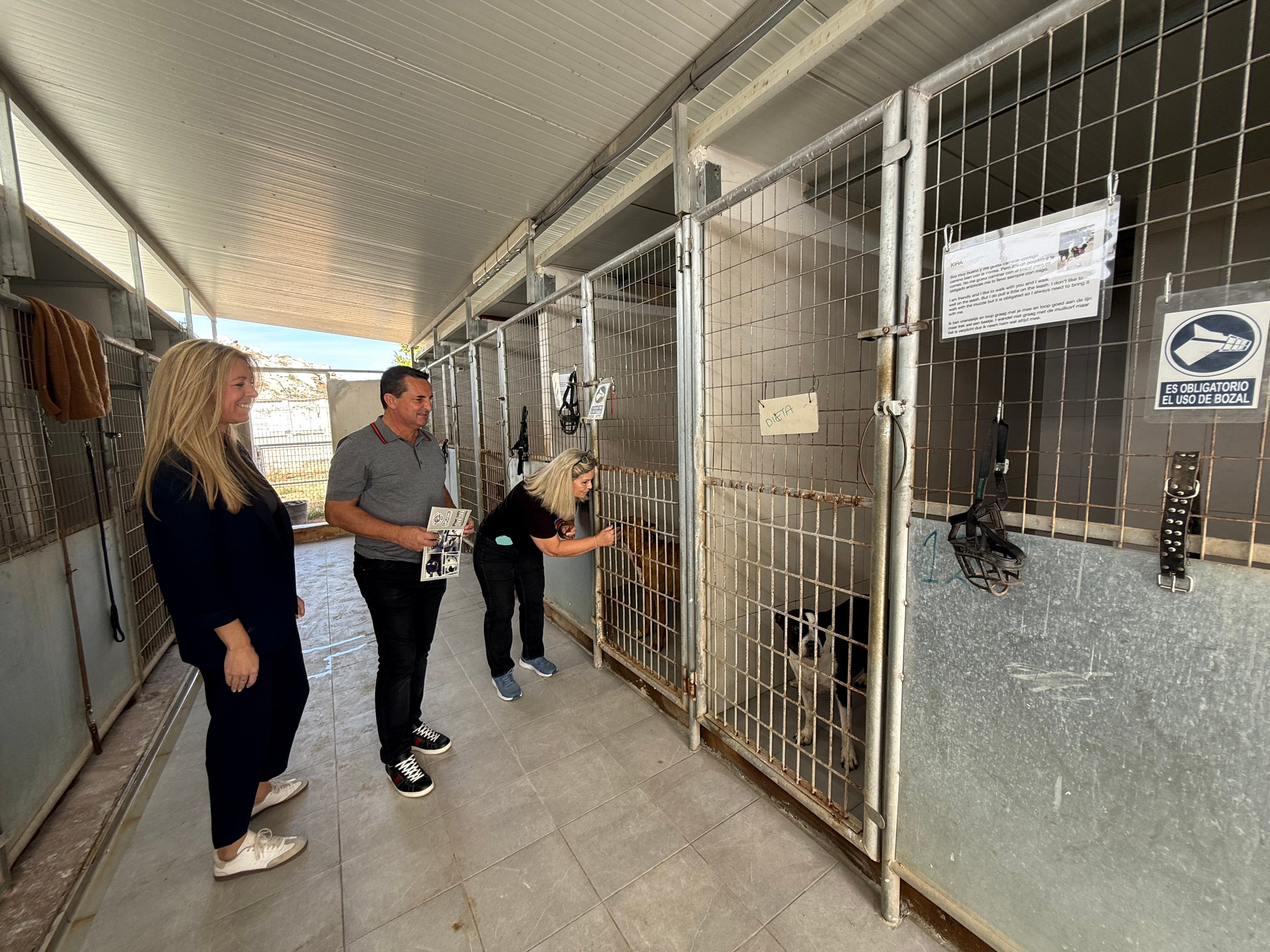 La Nucía realiza obras de mejora en el Refugio de Animales a petición de la Protectora, entidad que gestiona este espacio La Nucía realiza obras de mejora en el Refugio de Animales a petición de la Protectora, entidad que gestiona este espacio
