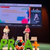 El colegio Miguel Servet de Elda representa a las comarcas del Vinalopó en las jornadas PROA+.