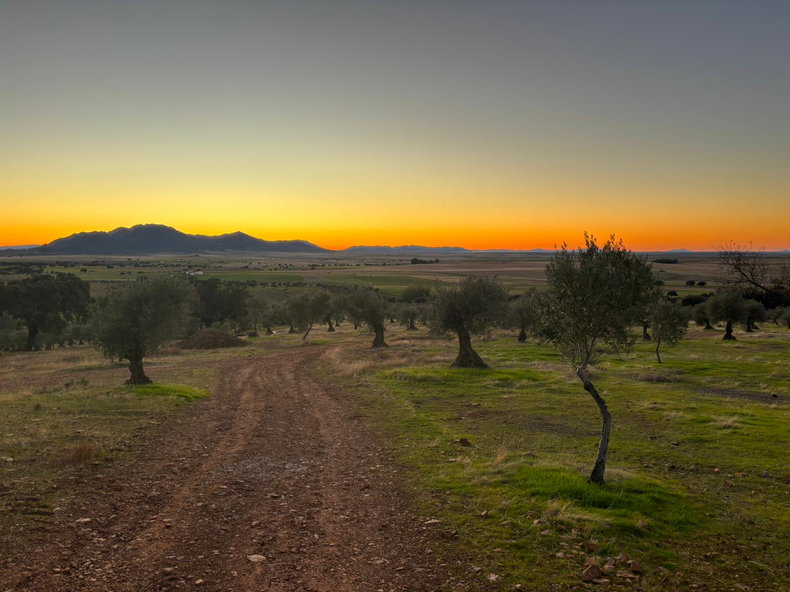 Cancho Roano, Magacela y Zalamea: guía para explorar la historia de La Serena Cancho Roano, Magacela y Zalamea: guía para explorar la historia de La Serena