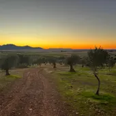 Paisaje de La Serena Paisaje de La Serena