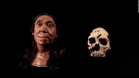 Mujer neandertal Mujer neandertal