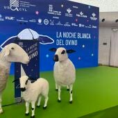 Urcacyl noche del ovino