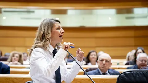 la vicepresidenta segunda y ministra de Trabajo, Yolanda Díaz, durante una sesión plenaria la vicepresidenta segunda y ministra de Trabajo, Yolanda Díaz, durante una sesión plenaria