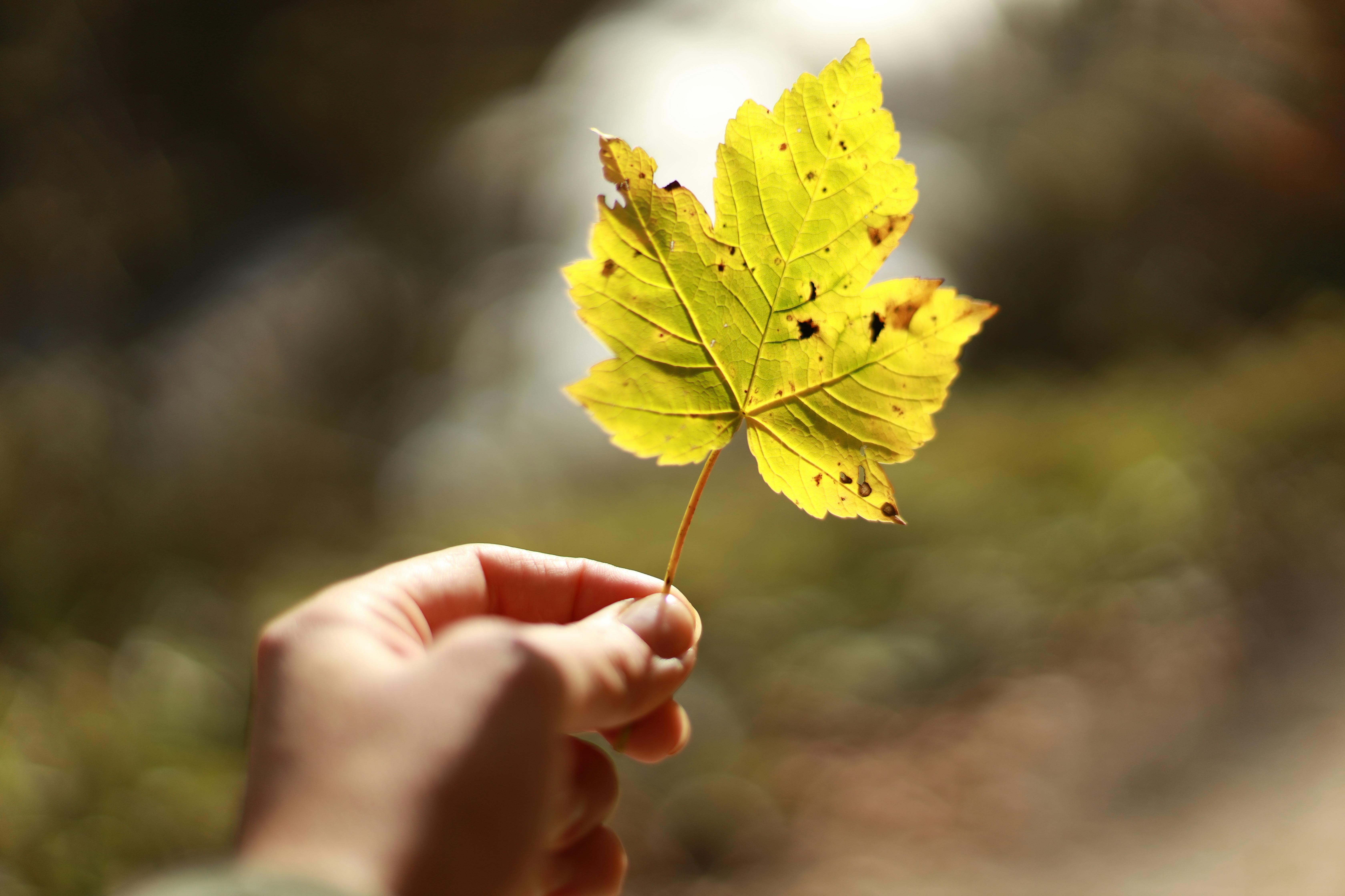 La banca se blinda con la Transición Verde ante el fracaso climático global La banca se blinda con la Transición Verde ante el fracaso climático global