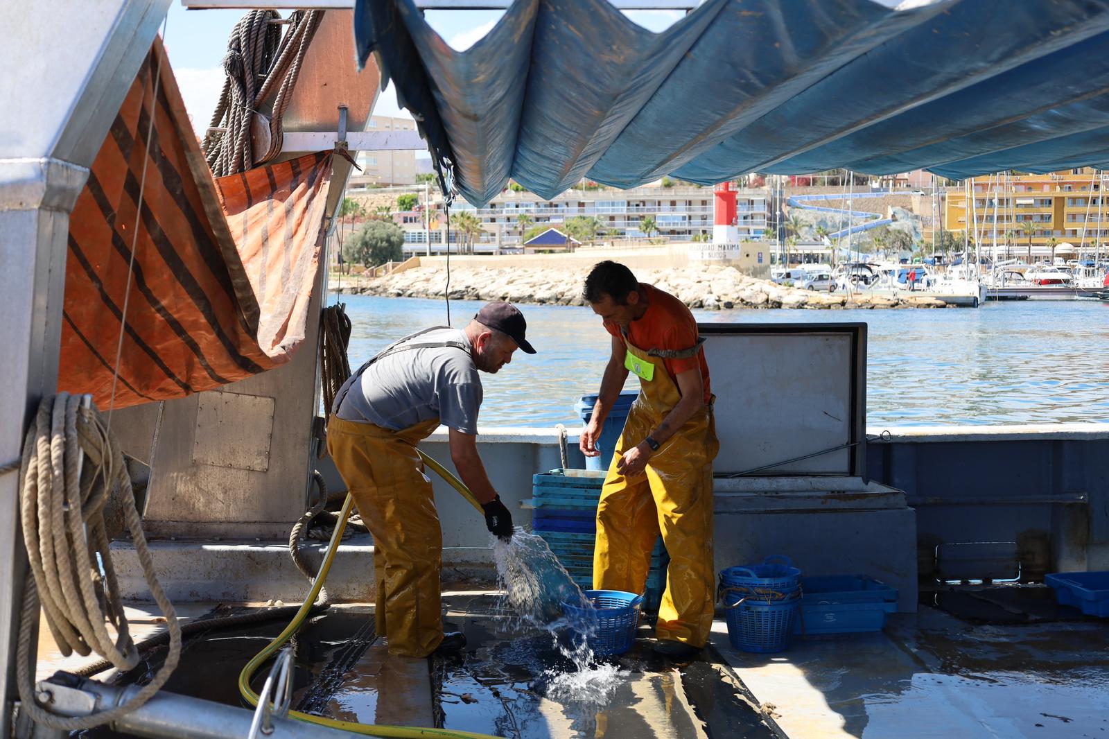 Las embarcaciones pesqueras de Villajoyosa y Altea podrán salir 13 días más a faenar tras la rectificación del ministerio de agricultura y pesca de España Las embarcaciones pesqueras de Villajoyosa y Altea podrán salir 13 días más a faenar tras la rectificación del ministerio de agricultura y pesca de España