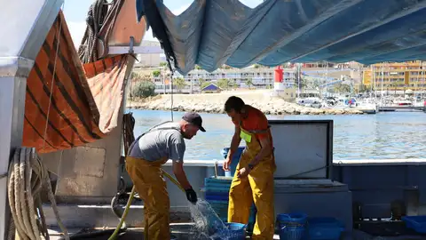 Las embarcaciones pesqueras de Villajoyosa y Altea podrán salir 13 días más a faenar tras la rectificación del ministerio de agricultura y pesca de españa Las embarcaciones pesqueras de Villajoyosa y Altea podrán salir 13 días más a faenar tras la rectificación del ministerio de agricultura y pesca de españa