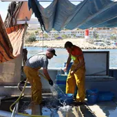 Las embarcaciones pesqueras de Villajoyosa y Altea podrán salir 13 días más a faenar tras la rectificación del ministerio de agricultura y pesca de españa Las embarcaciones pesqueras de Villajoyosa y Altea podrán salir 13 días más a faenar tras la rectificación del ministerio de agricultura y pesca de españa