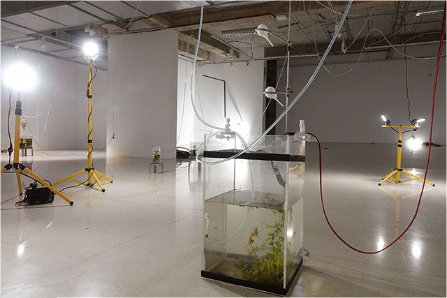 'Agua, por favor', de Edu Lavrador, se muestra en la UMA 'Agua, por favor', de Edu Lavrador, se muestra en la UMA