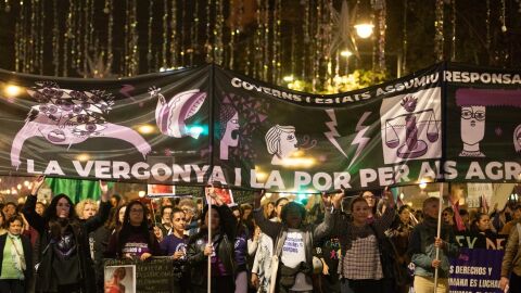 La manifestaci&oacute; del 25N de l'any passat