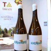 Ampolles de vi Batecs de l'Ebre