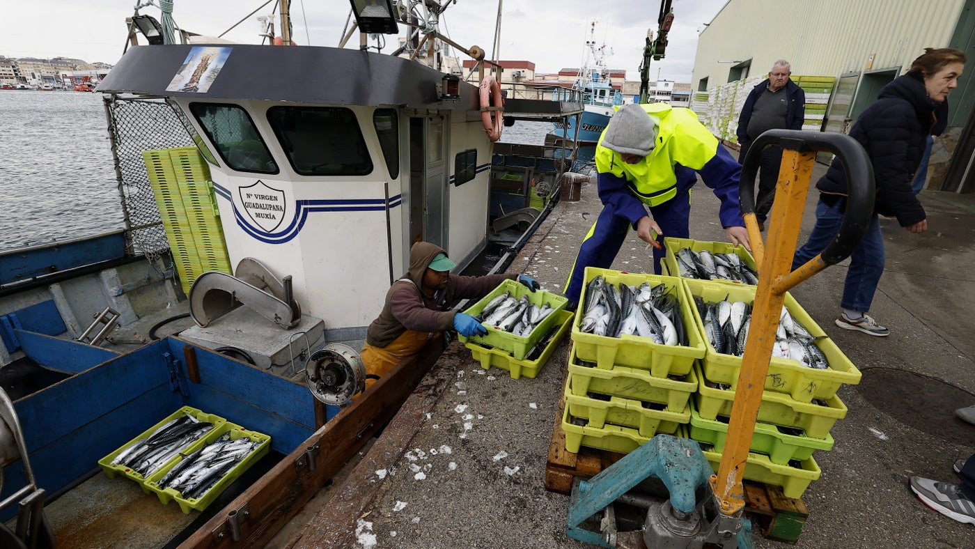 Organización de Productores Pesqueros de Burela (OPP-7), servicios transversales para la flota. Organización de Productores Pesqueros de Burela (OPP-7), servicios transversales para la flota.