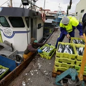 OPP BURELA OPP BURELA