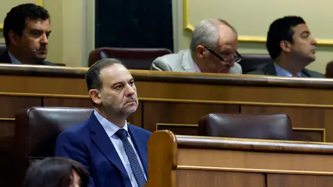 El diputado José Luis Ábalos en su escaño El diputado José Luis Ábalos en su escaño/ EFE/Javier Lizón