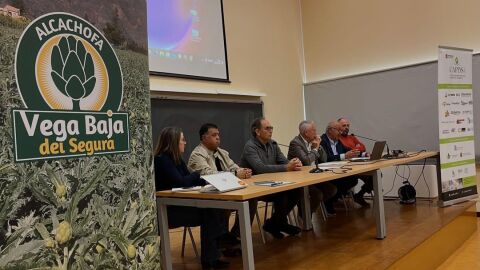 Expertos del sector analizan la actualidad y los retos del cultivo de la alcachofa en Almorad&iacute;