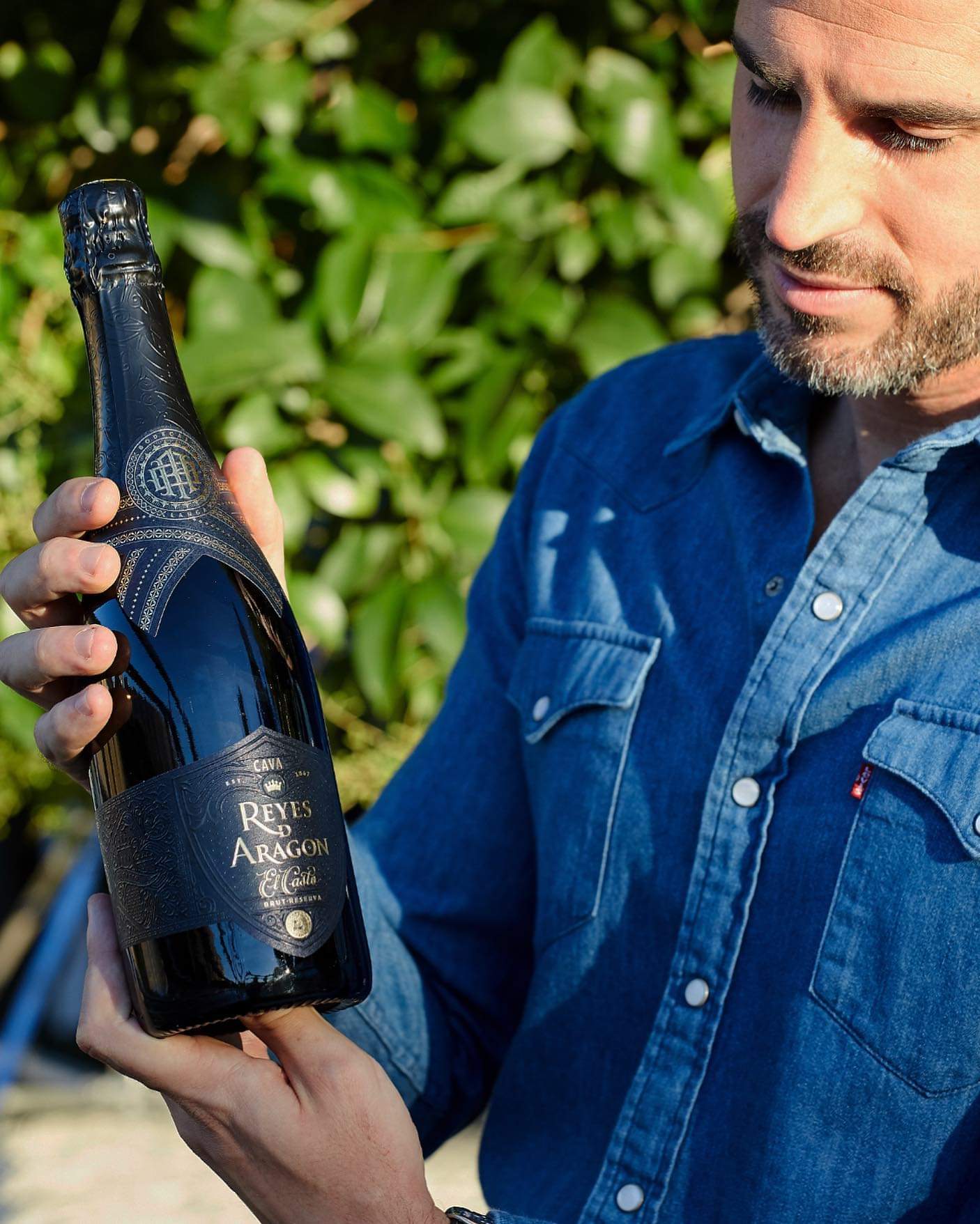 Cava Reyes de Aragón El Casto Brut de Bodegas Langa Cava Reyes de Aragón El Casto Brut de Bodegas Langa