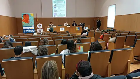 semana discapacidad semana discapacidad