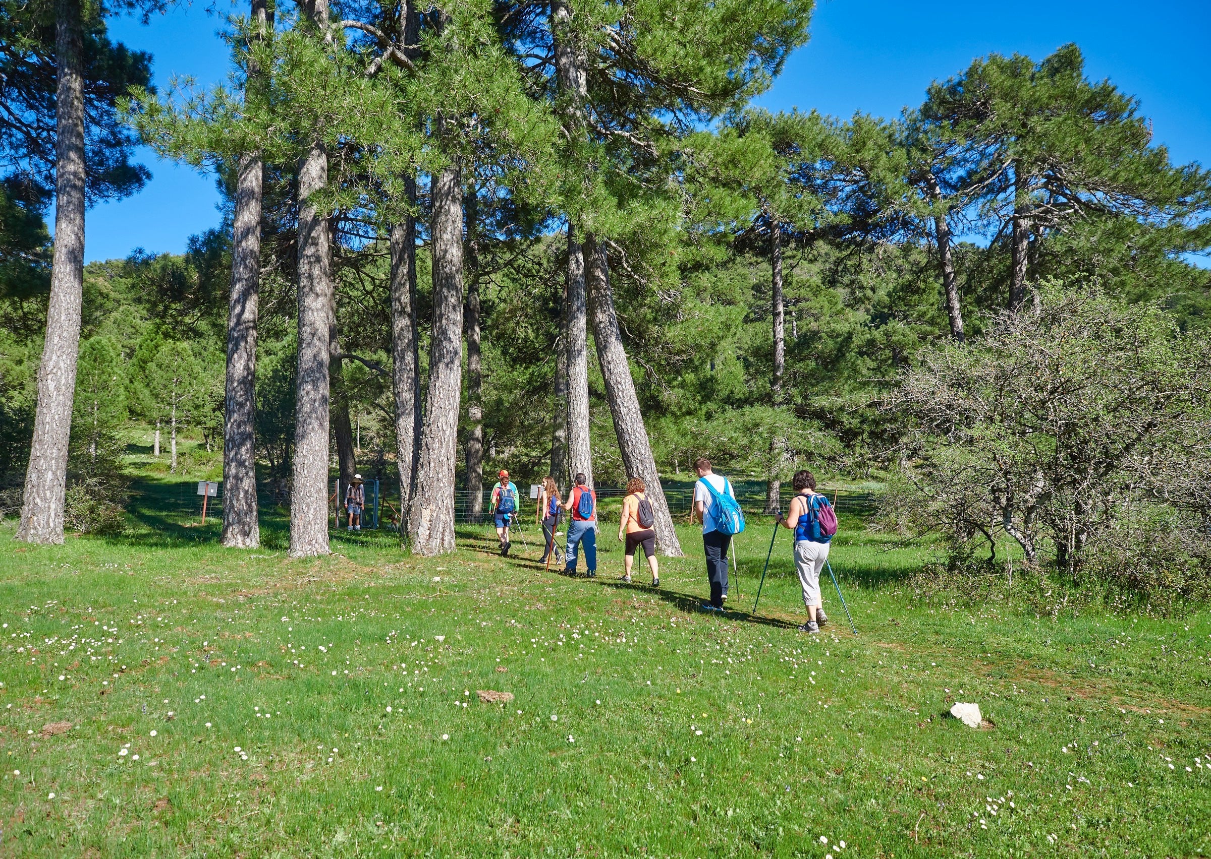 La Sierra del Segura disfrutará de una 'Red de Senderos de Antaño' La Sierra del Segura disfrutará de una 'Red de Senderos de Antaño'