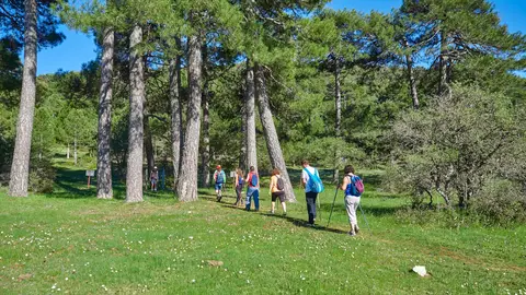 La Sierra del Segura disfrutará de una Red de Senderos de Antaño La Sierra del Segura disfrutará de una Red de Senderos de Antaño