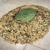 Museo Guggenheim Bilbao acoge la muestra 'Artes de la Tierra'