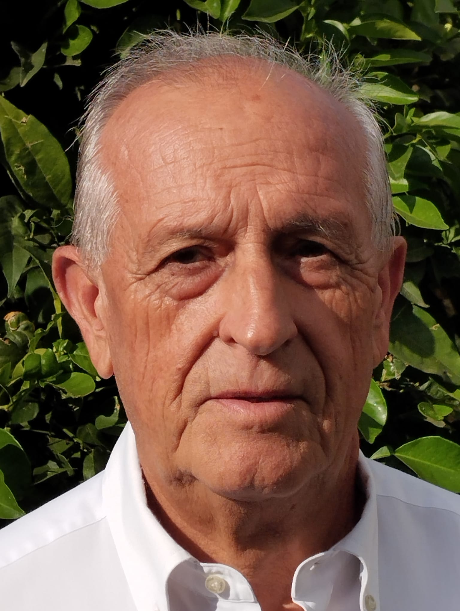 Enrique Monterroso Enrique Monterroso