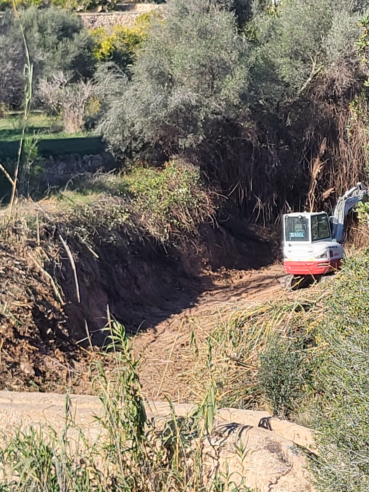 L’Alfàs procede a la limpieza del cauce del Barranco de Soler dentro del plan de prevención ante riadas L’Alfàs procede a la limpieza del cauce del Barranco de Soler dentro del plan de prevención ante riadas