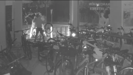 La banda estaba especializada en robos en tiendas de bicicletas de alta gama y motocicletas. La banda estaba especializada en robos en tiendas de bicicletas de alta gama y motocicletas.
