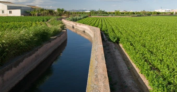 El MUDIC inicia un proyecto para trasladar a los escolares la importancia del sistema de riego tradicional de la Vega Baja El MUDIC inicia un proyecto para trasladar a los escolares la importancia del sistema de riego tradicional de la Vega Baja
