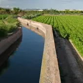 El MUDIC desarrolla un proyecto para trasladar a los escolares la importancia del sistema de riego tradicional de la Vega Baja El MUDIC desarrolla un proyecto para trasladar a los escolares la importancia del sistema de riego tradicional de la Vega Baja