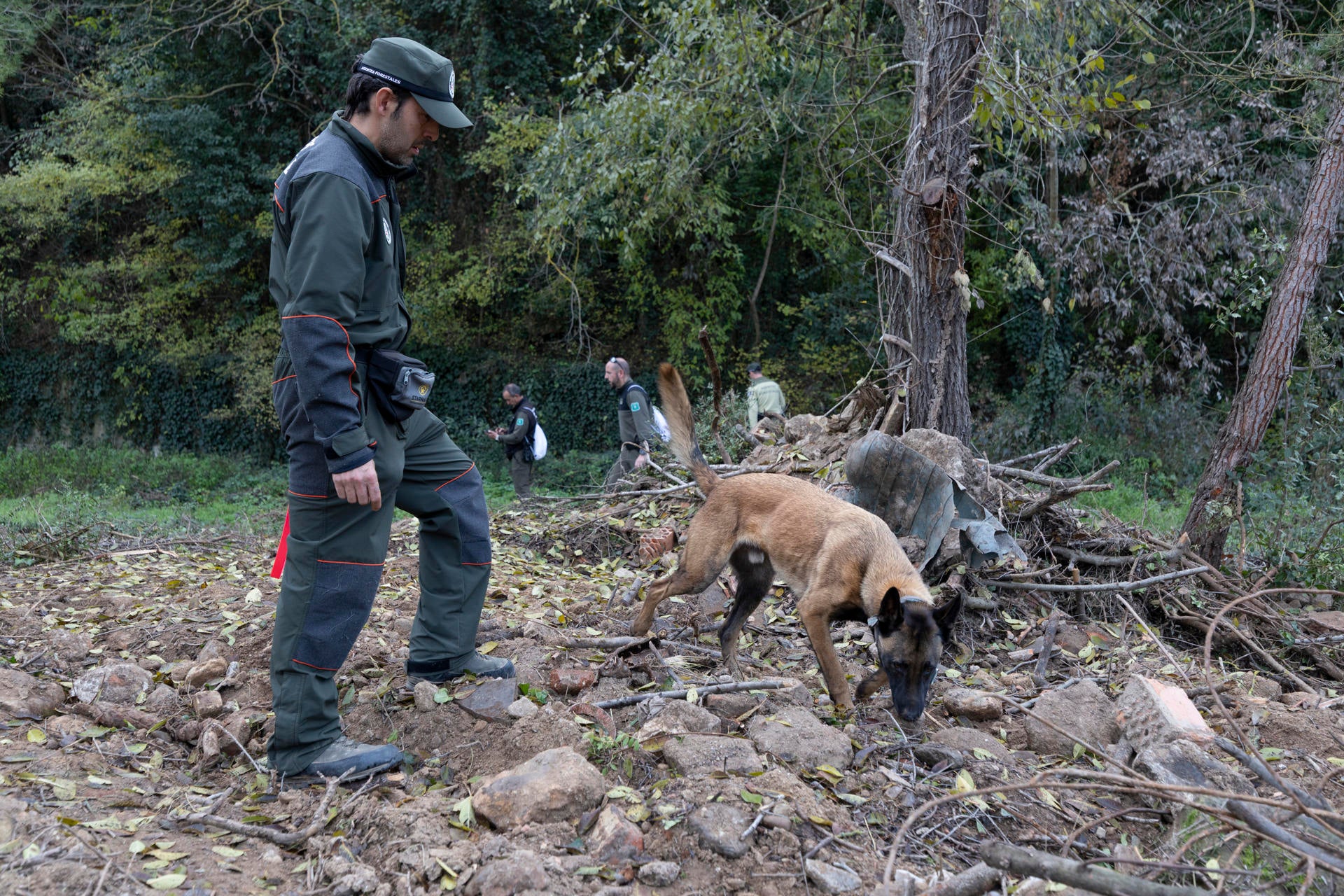 Así es el dispositivo para controlar la peste porcina: drones, perros y mil efectivos Así es el dispositivo para controlar la peste porcina: drones, perros y mil efectivos