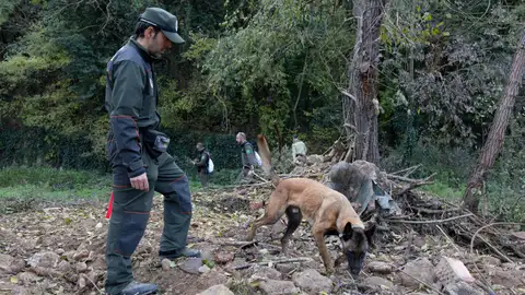 Un agente rural junto con un perro canino Un agente rural junto con un perro canino