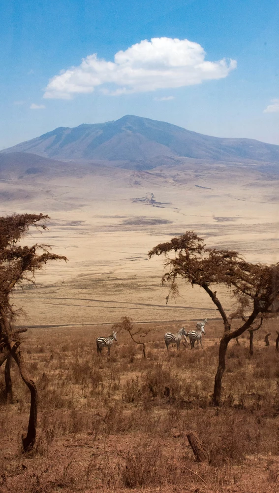 Paisaje del Ngorongoro Paisaje del Ngorongoro
